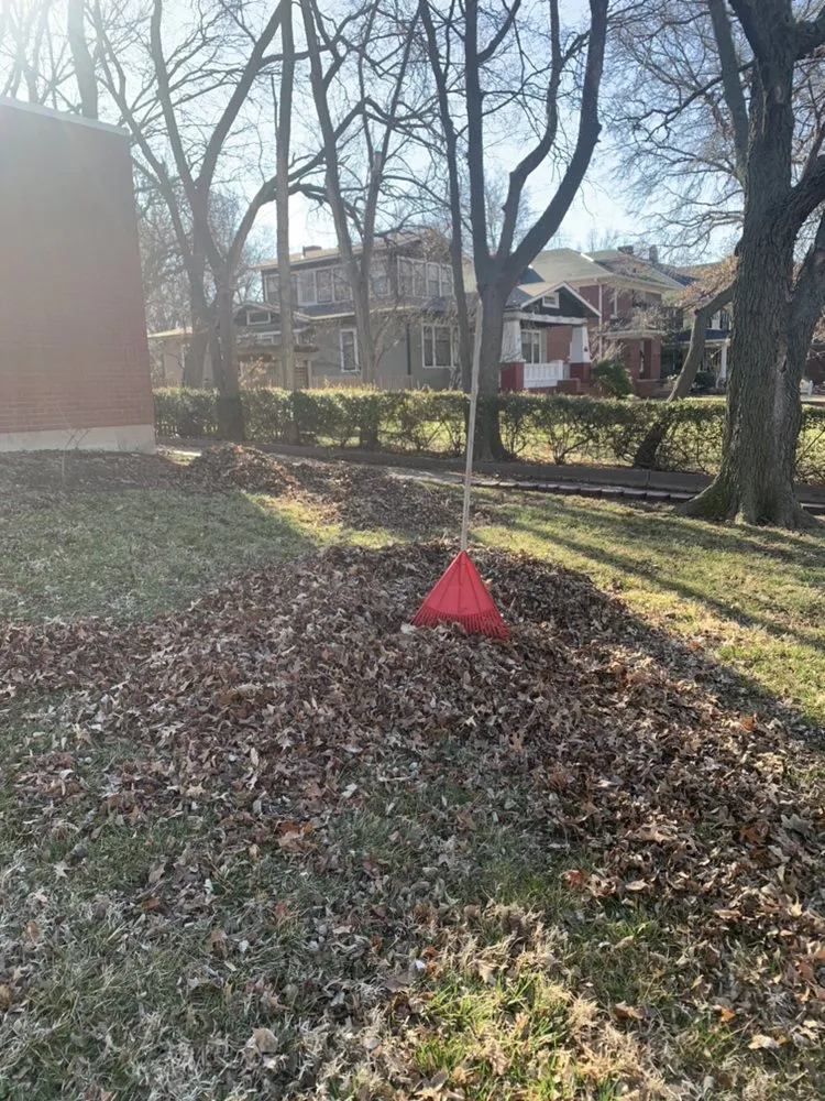 Local yard cleanup service with custom design across Wichita, KS - Gomez Lawntree