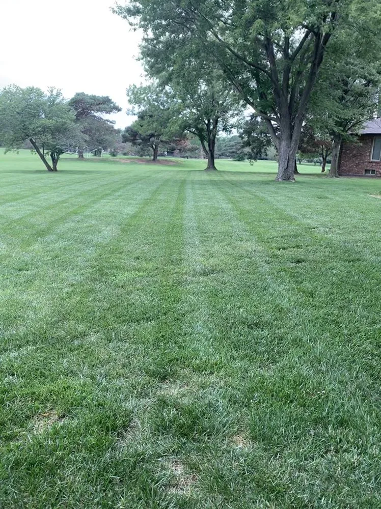 Professional landscaping services for residential properties across Wichita, KS - Gomez Lawntree
