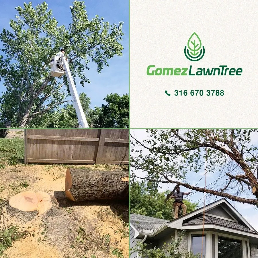 Custom yard maintenance for outdoor upgrades across Wichita, KS - Gomez Lawntree
