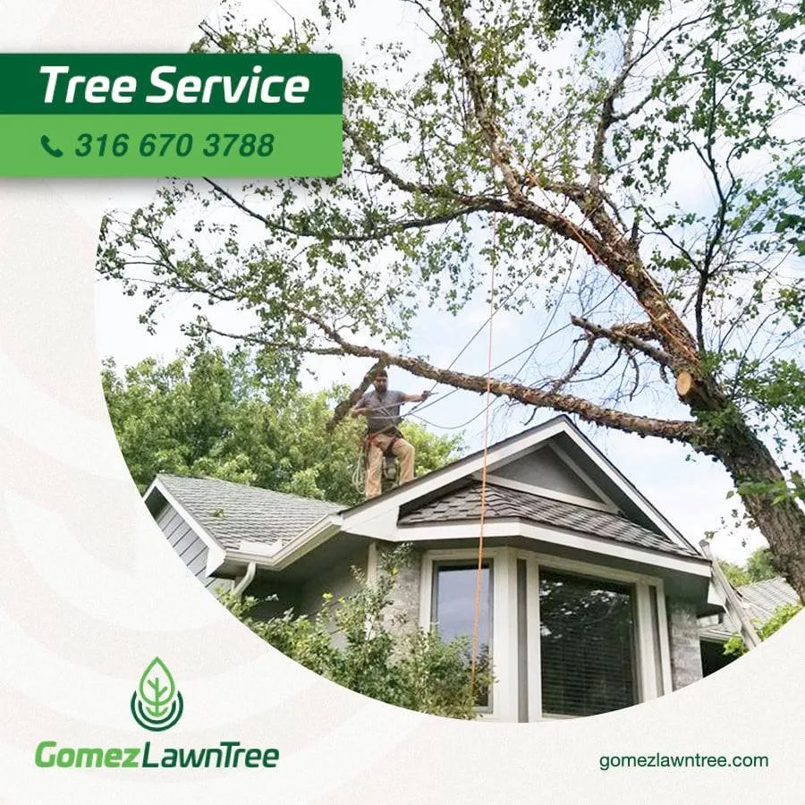 Custom lawn mowing service experts serving Wichita, KS - Gomez Lawntree