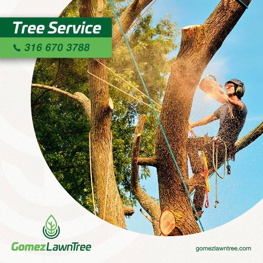 Local yard cleanup service experts serving Wichita, KS - Gomez Lawntree