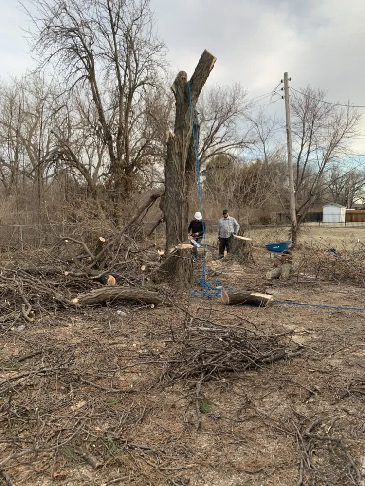 Trusted landscape design for beautiful yards across Wichita, KS - Gomez Lawntree