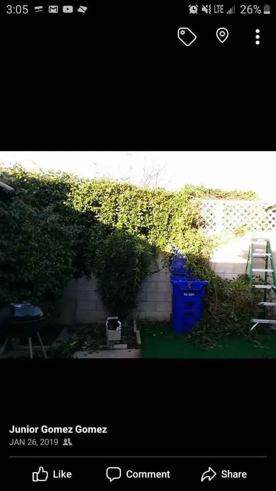 Custom garden landscaping in Oxnard, CA by Gomez maintances and landscape