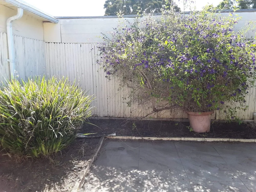 Affordable lawn care service experts serving Oxnard, CA - Gomez maintances and landscape