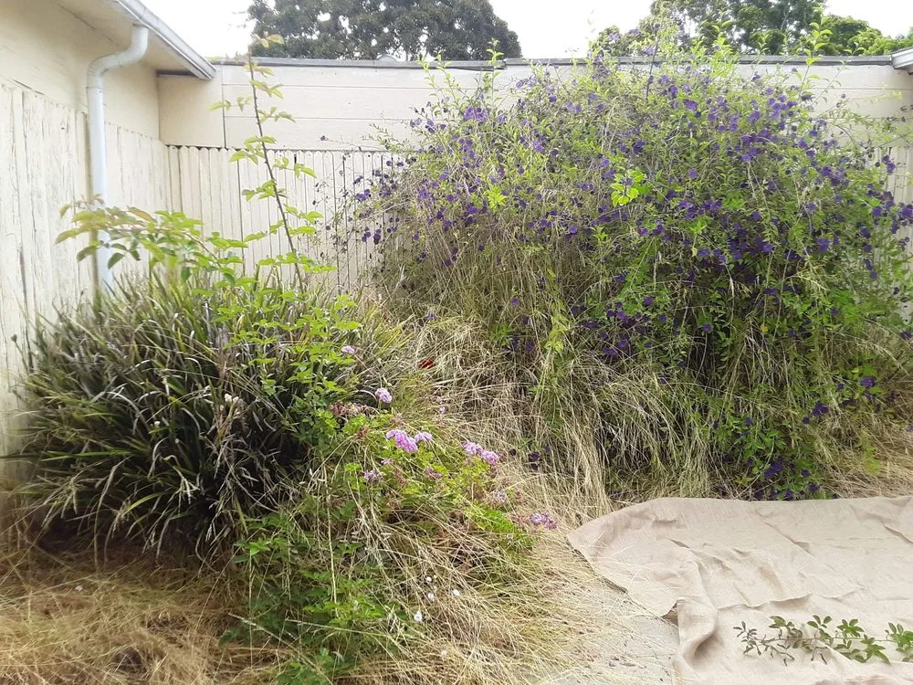 Reliable lawn care service for outdoor upgrades across Oxnard, CA - Gomez maintances and landscape