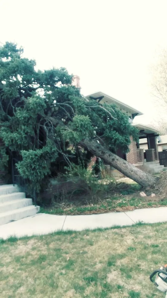 Reliable landscape design for residential properties in Denver, CO by Gomez Tree & Landscaping