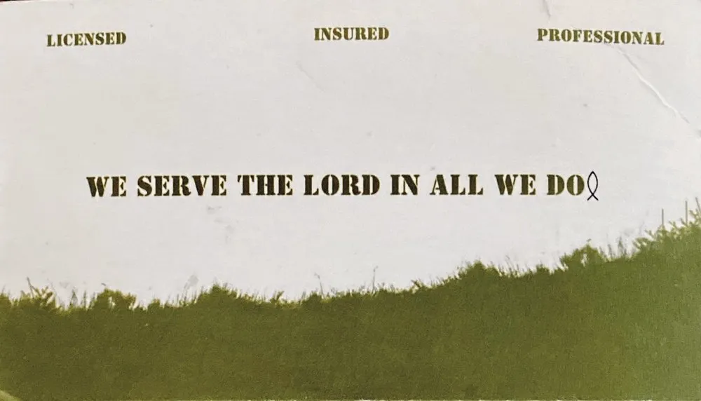 Trusted yard cleanup service in Denver, CO - Gomez Tree & Landscaping