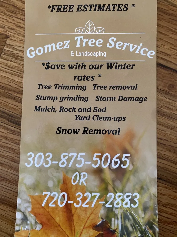 Affordable yard maintenance with custom design in Denver, CO by Gomez Tree & Landscaping