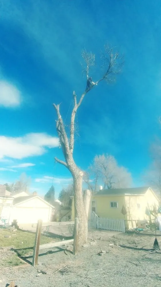 Affordable garden landscaping experts serving Denver, CO - Gomez Tree & Landscaping