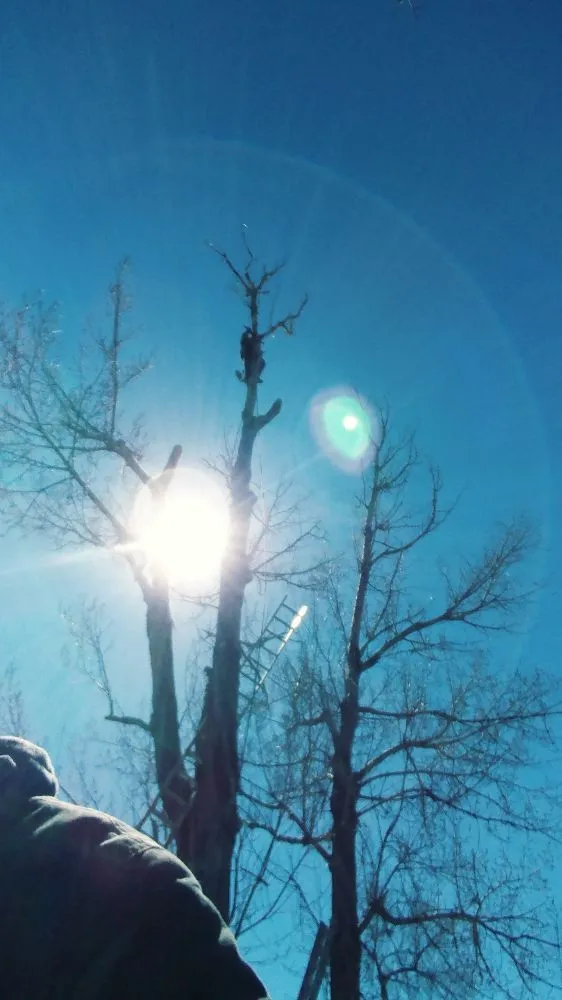 Trusted lawn care service for outdoor upgrades across Denver, CO - Gomez Tree & Landscaping