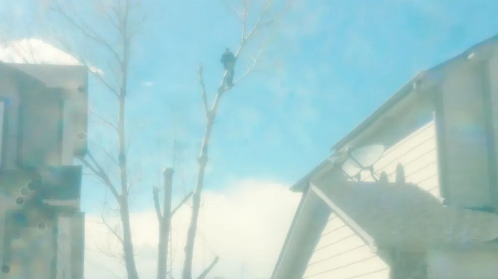 Expert outdoor landscaping experts serving Denver, CO - Gomez Tree & Landscaping