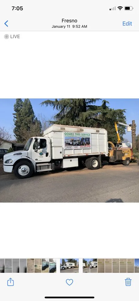 Professional landscape design in Fresno, CA - Gomez Tree Service