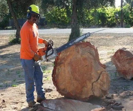 Top-rated lawn mowing service experts serving Fresno, CA - Gomez Tree Service