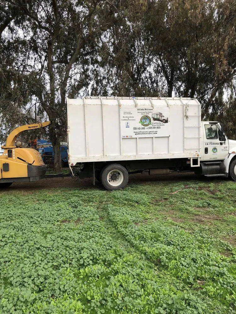 Top-rated residential landscaping in Fresno, CA - Gomez Tree Service