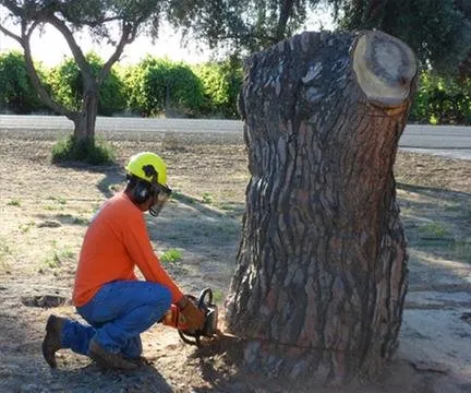 Expert lawn mowing service in Fresno, CA by Gomez Tree Service