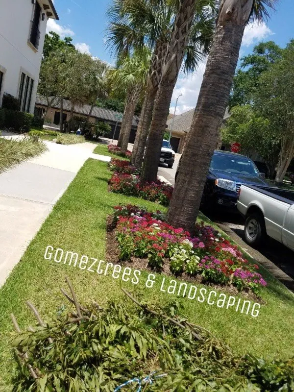Professional lawn care service in Houston, TX by Gomez Trees & Landscape
