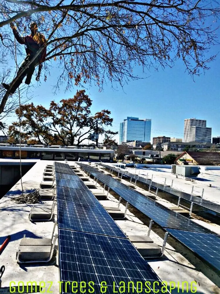 Affordable yard cleanup service experts serving Houston, TX - Gomez Trees & Landscape