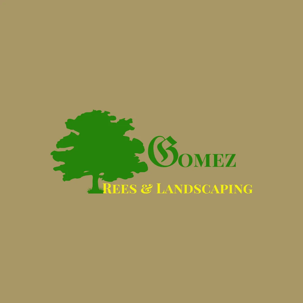Professional residential landscaping experts serving Houston, TX - Gomez Trees & Landscape