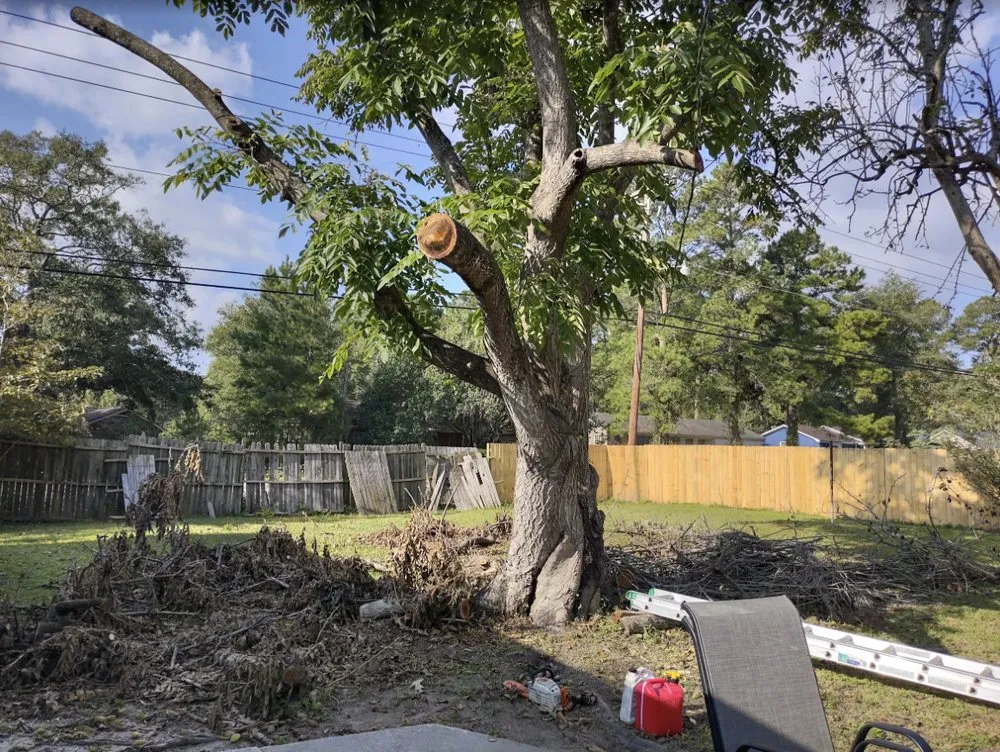 Custom garden landscaping in Charleston, SC by Gomez Trees & Lawn Service