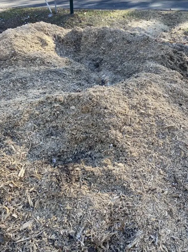 Custom outdoor landscaping in Charleston, SC - Gomez Trees & Lawn Service