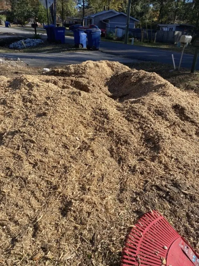 Professional landscaping services in Charleston, SC - Gomez Trees & Lawn Service