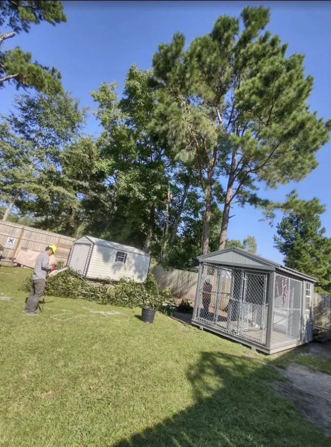 Reliable residential landscaping in Charleston, SC by Gomez Trees & Lawn Service