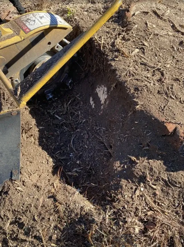 Custom outdoor landscaping for outdoor upgrades in Charleston, SC by Gomez Trees & Lawn Service