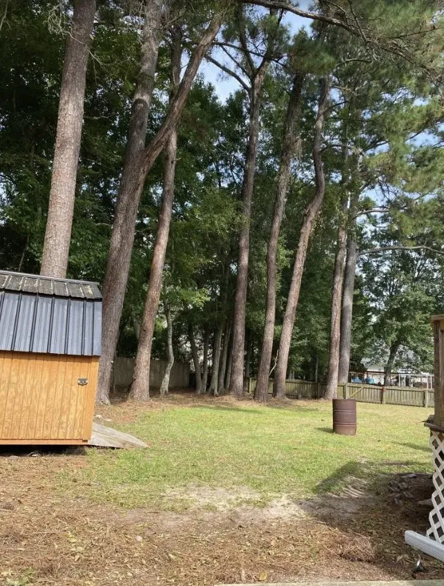 Affordable landscaping services in Charleston, SC - Gomez Trees & Lawn Service