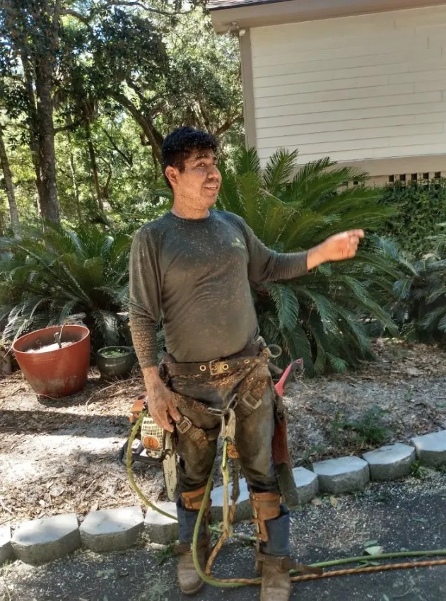 Reliable yard cleanup service with custom design in Charleston, SC by Gomez Trees & Lawn Service