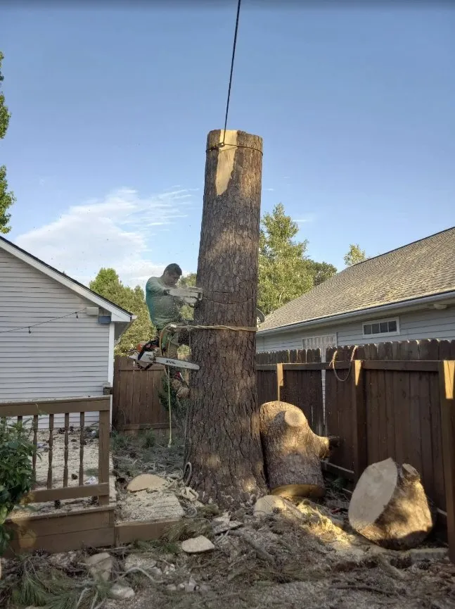 Trusted yard maintenance in Charleston, SC - Gomez Trees & Lawn Service