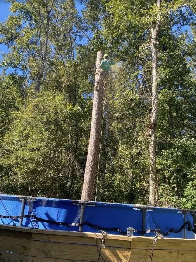 Top-rated landscape installation for residential properties across Charleston, SC - Gomez Trees & Lawn Service