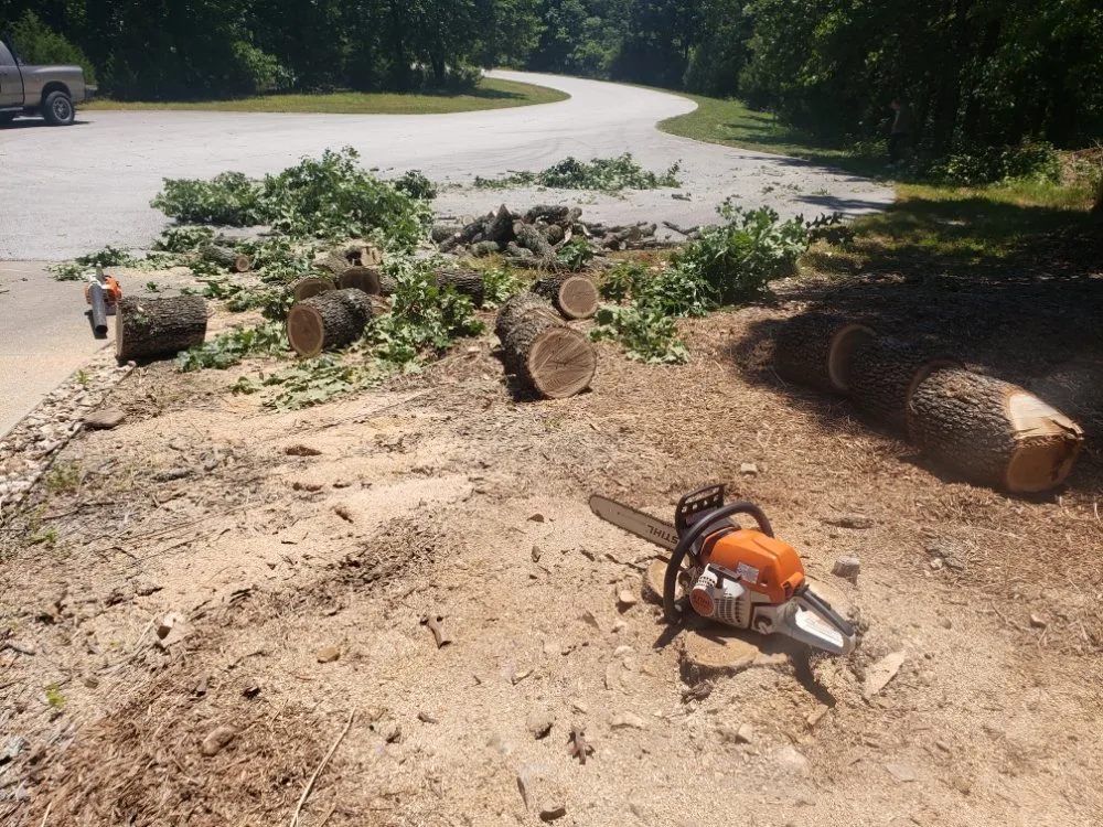 Professional landscape design in Marshfield, MO - Gomo Scapes Lawn And Design