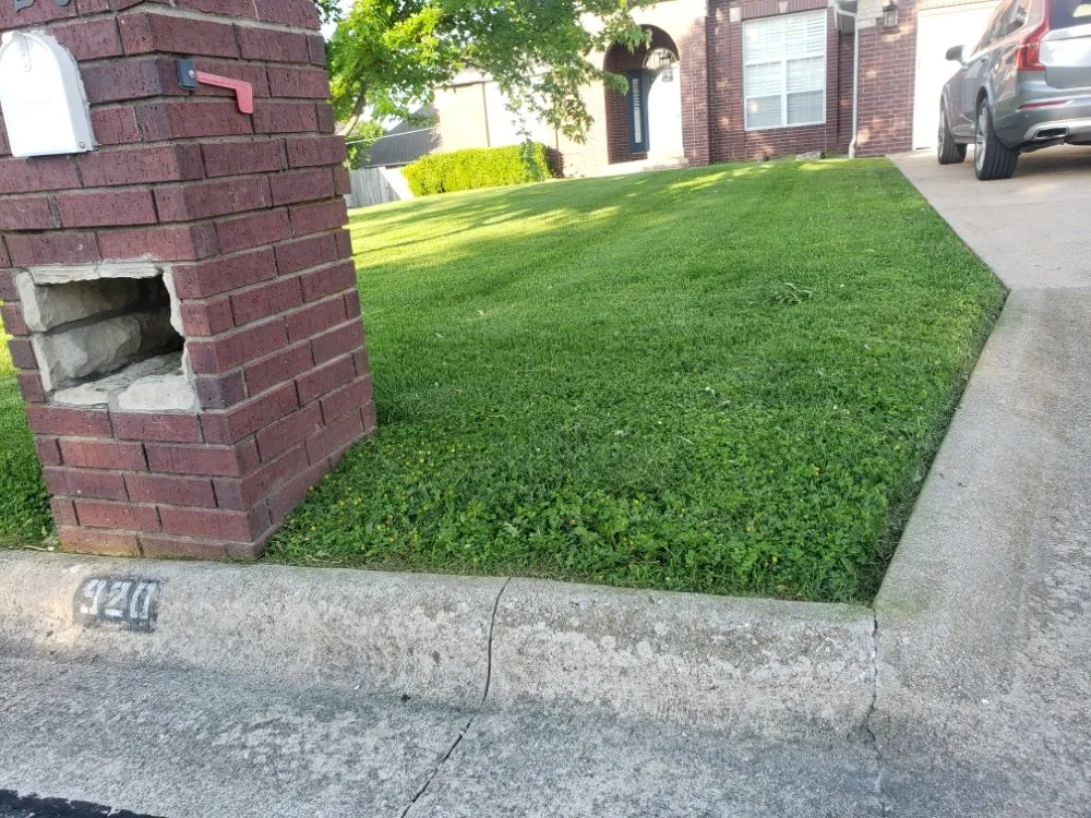 Custom lawn care service near you in Marshfield, MO by Gomo Scapes Lawn And Design