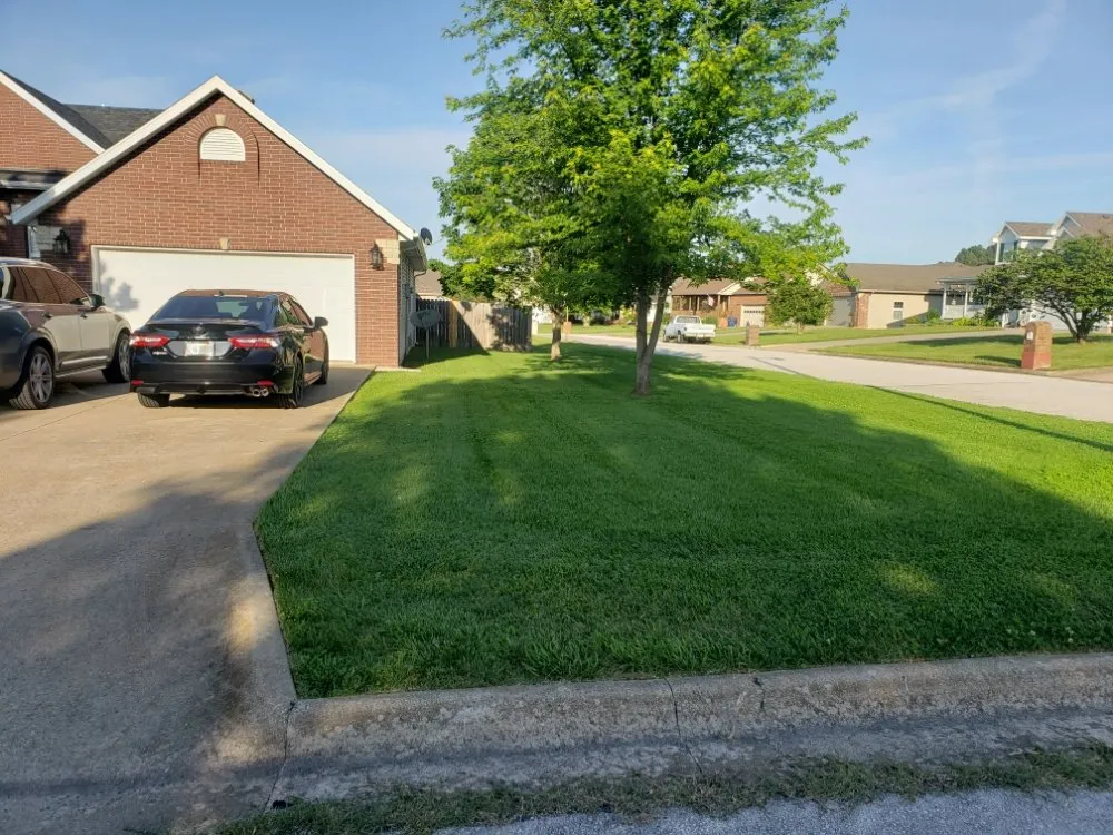 Top-rated yard cleanup service experts serving Marshfield, MO - Gomo Scapes Lawn And Design