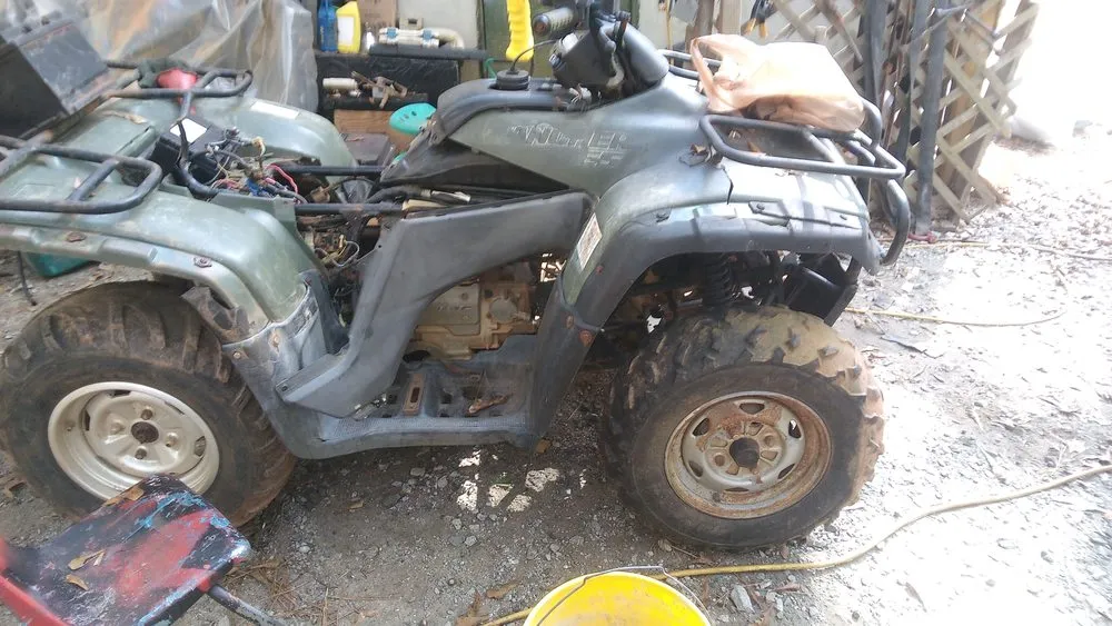 Professional yard cleanup service for year-round maintenance across Eatonton, GA - Gomower's Small Engine Repair & Landscape's