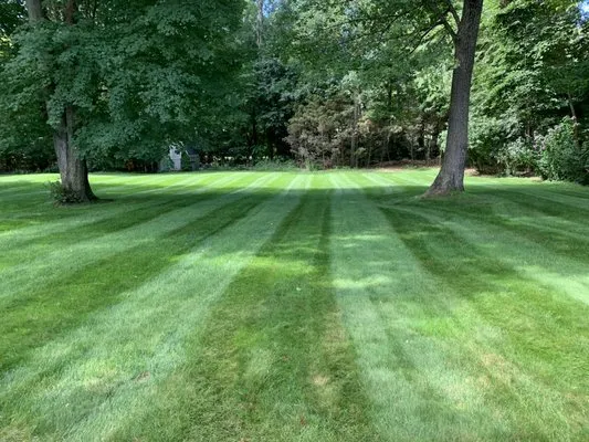 Gon’ Mowin’ Lawn Care