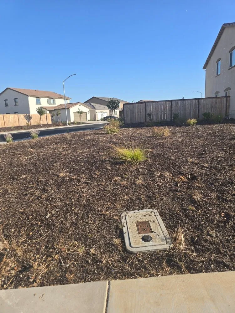 Trusted residential landscaping for outdoor upgrades across Sacramento, CA - Gonazalez Landscaping & Services