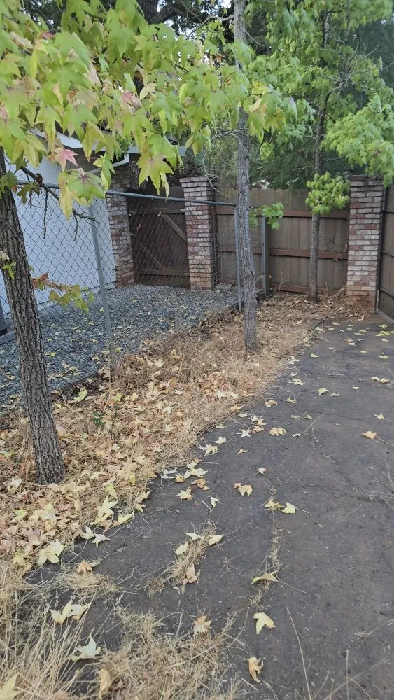 Expert yard cleanup service in Sacramento, CA - Gonazalez Landscaping & Services