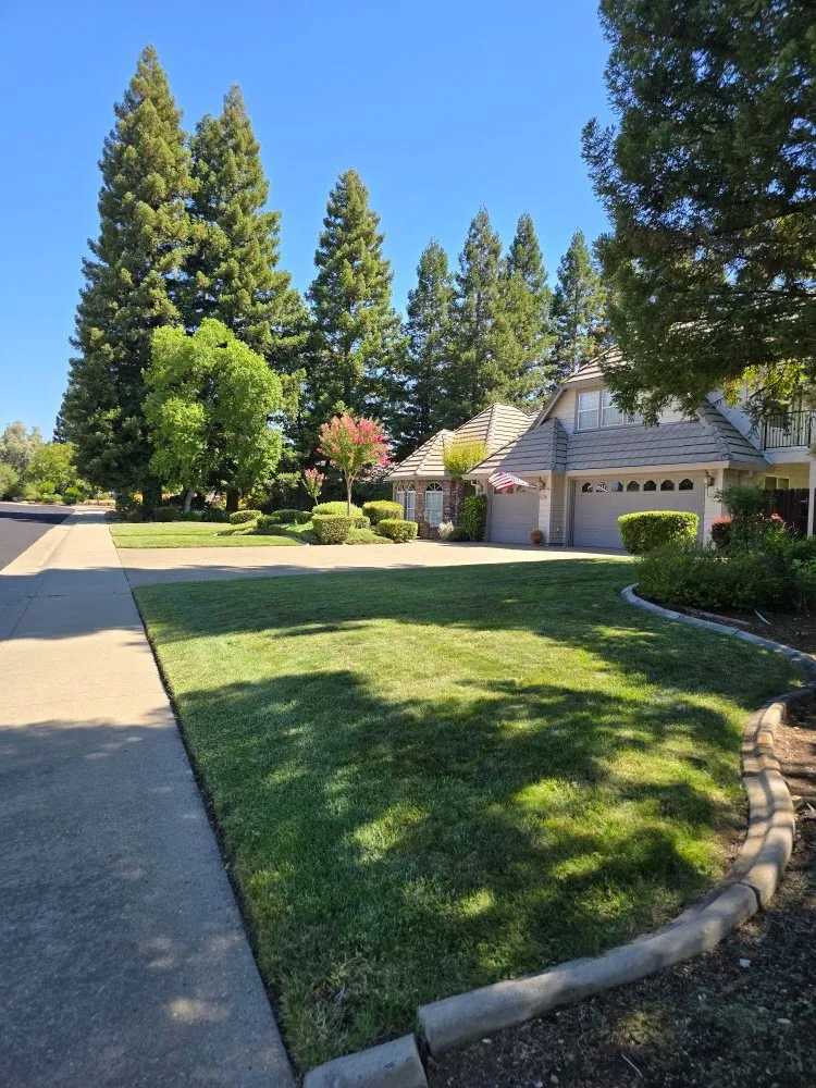 Top-rated outdoor landscaping for year-round maintenance across Sacramento, CA - Gonazalez Landscaping & Services