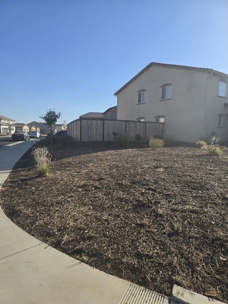 Top-rated landscape design experts serving Sacramento, CA - Gonazalez Landscaping & Services