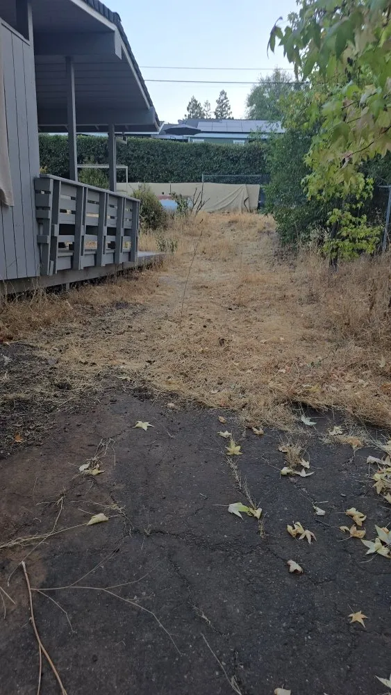 Top-rated landscaping services experts serving Sacramento, CA - Gonazalez Landscaping & Services