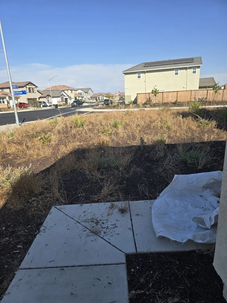 Affordable outdoor landscaping for beautiful yards in Sacramento, CA by Gonazalez Landscaping & Services