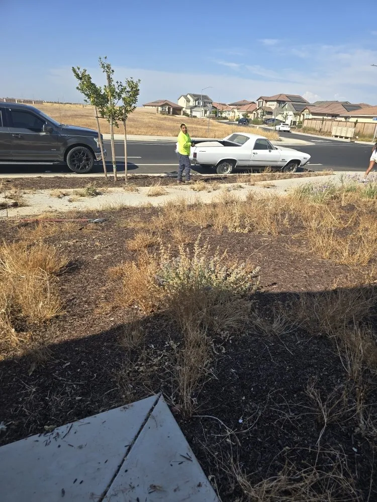 Professional landscape installation in Sacramento, CA by Gonazalez Landscaping & Services