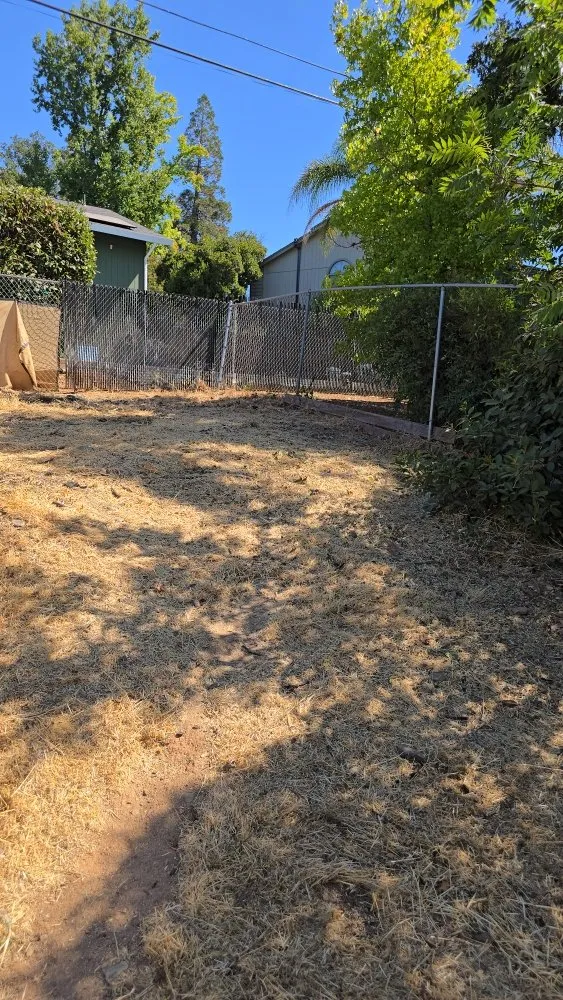 Expert landscape design for year-round maintenance in Sacramento, CA by Gonazalez Landscaping & Services