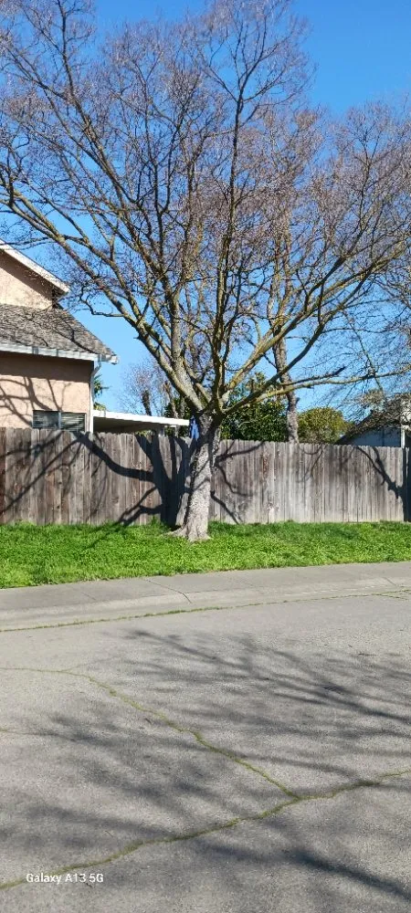 Expert landscape installation in Sacramento, CA - Gonazalez Landscaping & Services