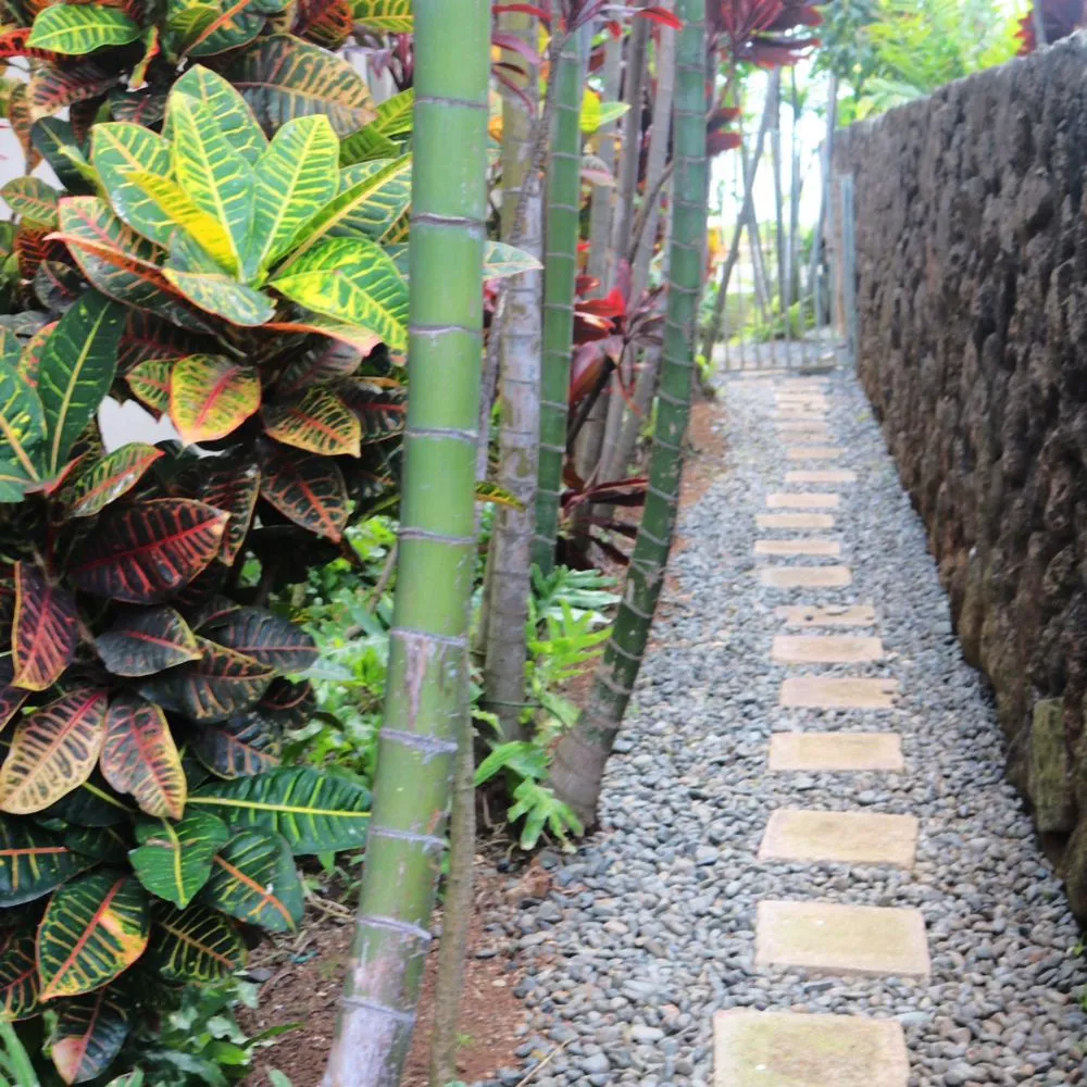 Affordable landscape installation in Mililani, HI by Gonda Landscaping