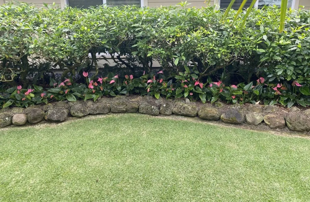 Professional landscape design for beautiful yards across Mililani, HI - Gonda Landscaping