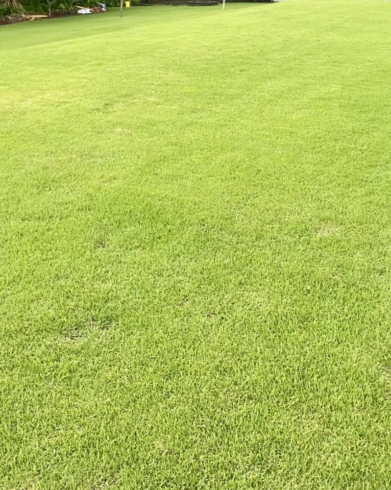 Local landscape design in Mililani, HI - Gonda Landscaping