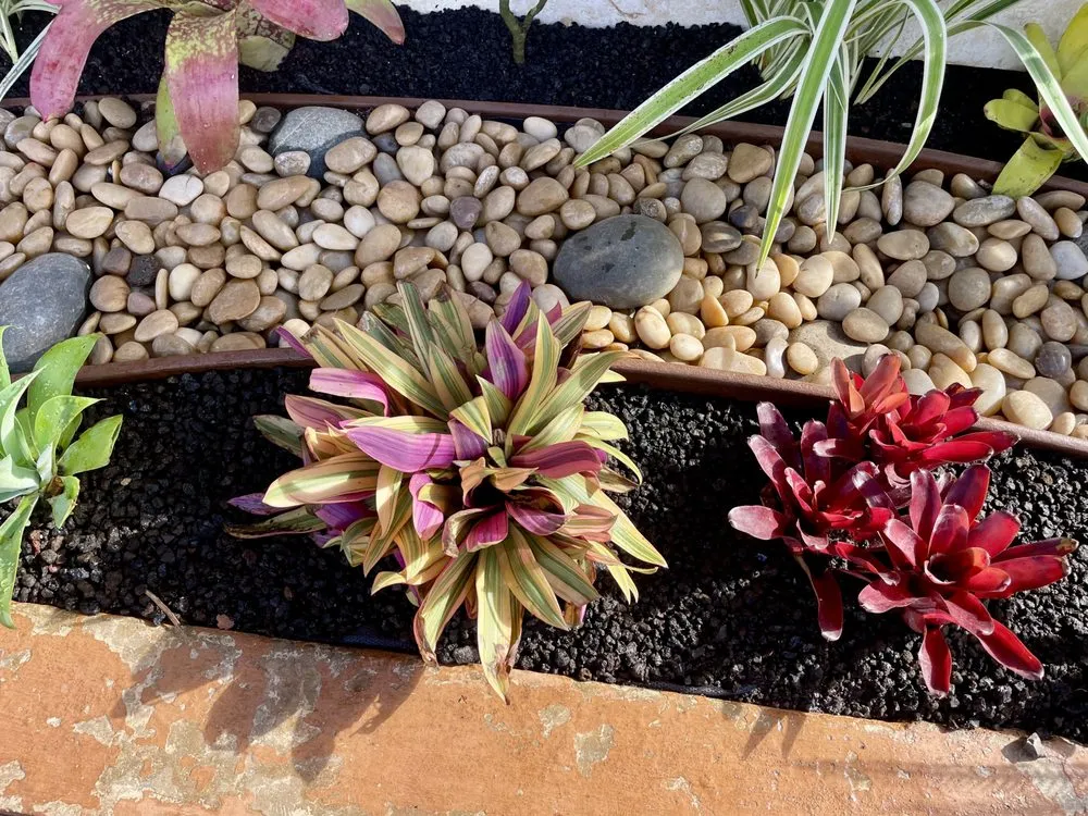 Trusted yard maintenance in Mililani, HI by Gonda Landscaping