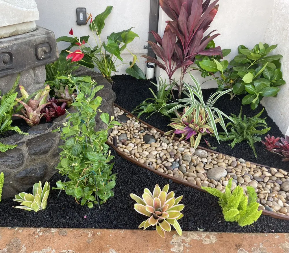 Trusted lawn care service for residential properties in Mililani, HI by Gonda Landscaping